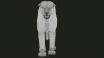 Bengal Tiger Rigged (Xgen-core) 3D Model Online