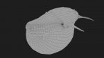 Buy Blue Whale 3D Model Online