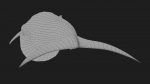 Buy Blue Whale 3D Model Online