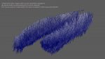 Buy Blue Whale 3D Model Online