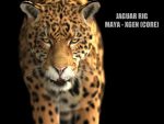 Jaguar RIG (Xgen-core) 3D Model Online