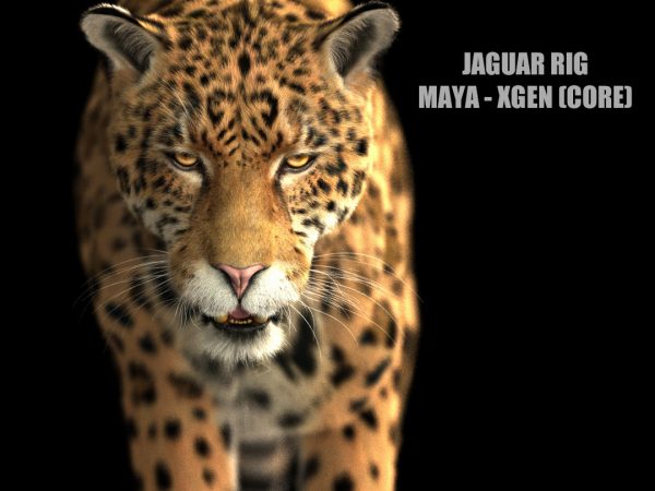 Jaguar RIG (Xgen-core) 3D Model Online