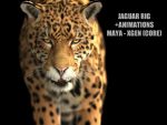 Jaguar ANIMATED (Xgen-core) 3D Model Online