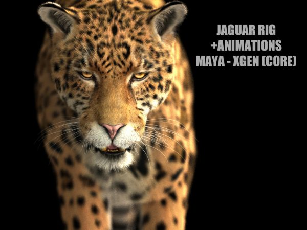 Jaguar ANIMATED (Xgen-core) 3D Model Online