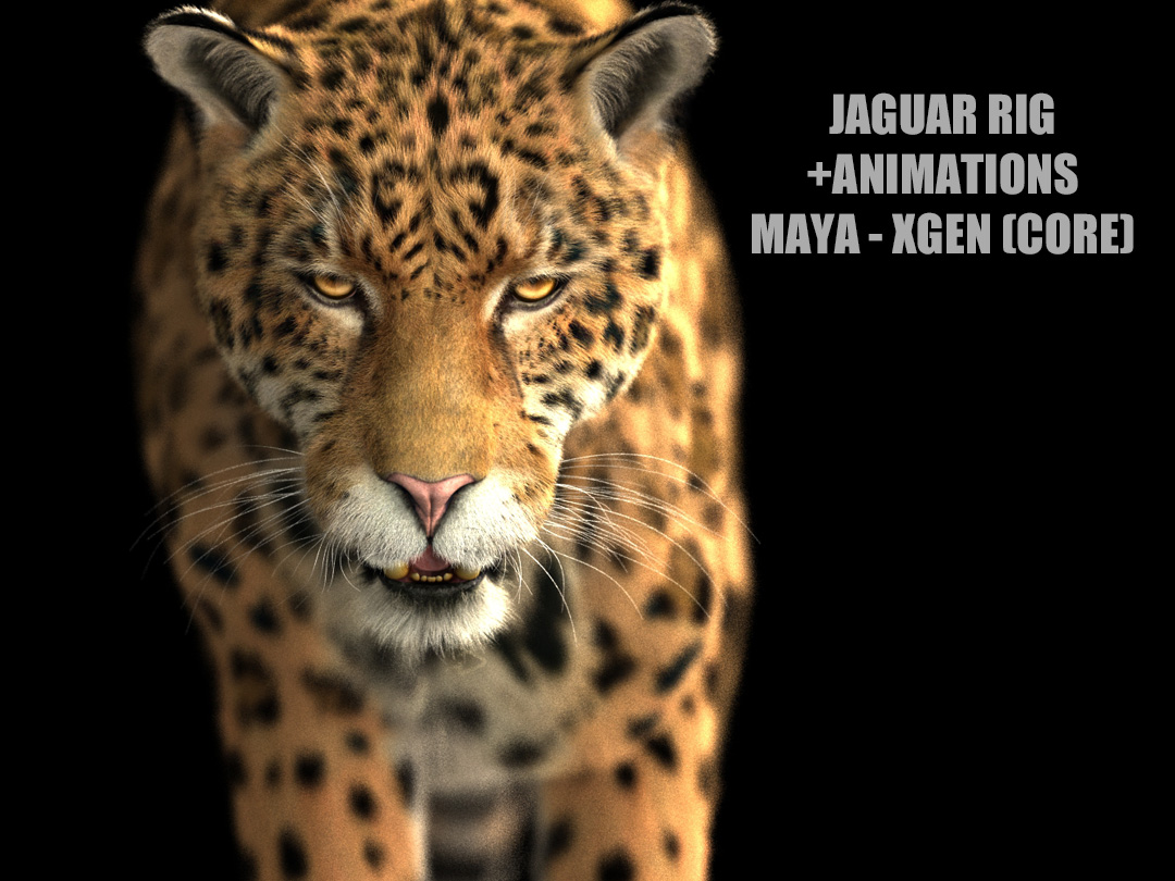 Jaguar ANIMATED (Xgen-core) 3D Model Online