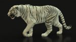 White Bengal Tiger Rigged (Xgen-core) 3D Model Online