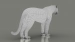 Jaguar RIG (Xgen-core) 3D Model Online