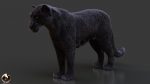 Black Jaguar RIG (Xgen-core) Online| Jaguar 3D Model Online