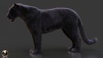 Black Jaguar RIG (Xgen-core) Online| Jaguar 3D Model Online