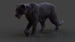 Black Jaguar RIG (Xgen-core) Online| Jaguar 3D Model Online