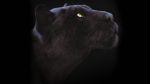 Black Jaguar RIG (Xgen-core) Online| Jaguar 3D Model Online
