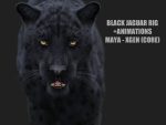 Black Jaguar ANIMATED (Xgen-core) | Buy 3D Model Online