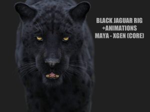 Black Jaguar ANIMATED (Xgen-core) | Buy 3D Model Online