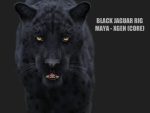Black Jaguar RIG (Xgen-core) Online| Jaguar 3D Model Online