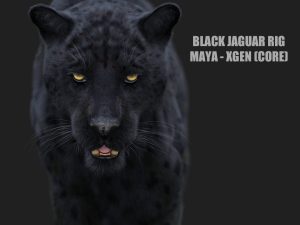 Black Jaguar RIG (Xgen-core) Online| Jaguar 3D Model Online