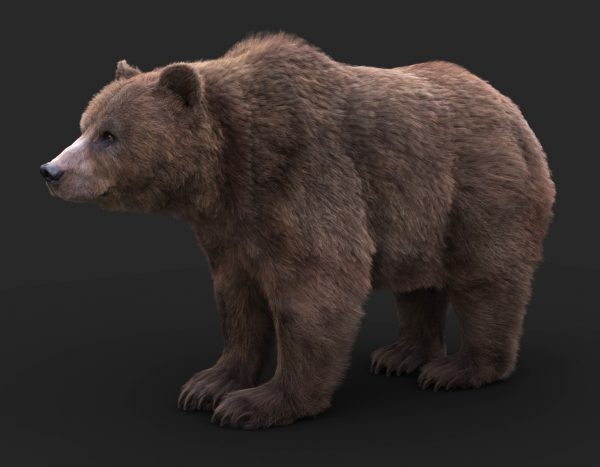 07-600x467.jpg