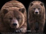 Bear 3D Model Online | 3D Model Online