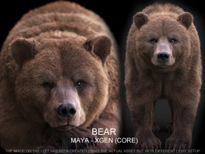 Bear 3D Model Online | 3D Model Online