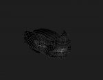 Bear 3D Model Online | 3D Model Online