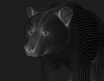 Bear 3D Model Online | 3D Model Online