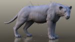Lion (RIG) (XGEN-CORE) Online | 3D Models Online | Massimo Righi