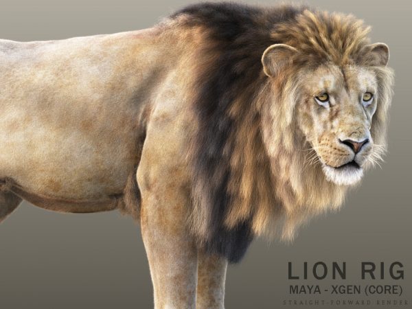 Lion (RIG) (XGEN-CORE) Online | 3D Models Online | Massimo Righi