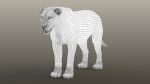 Lion (RIG) (XGEN-CORE) Online | 3D Models Online | Massimo Righi
