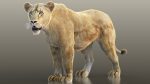 Buy 3D Models Online | Lions XGEN Online | Massimo Righi