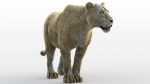 Buy 3D Models Online | Lions XGEN Online | Massimo Righi