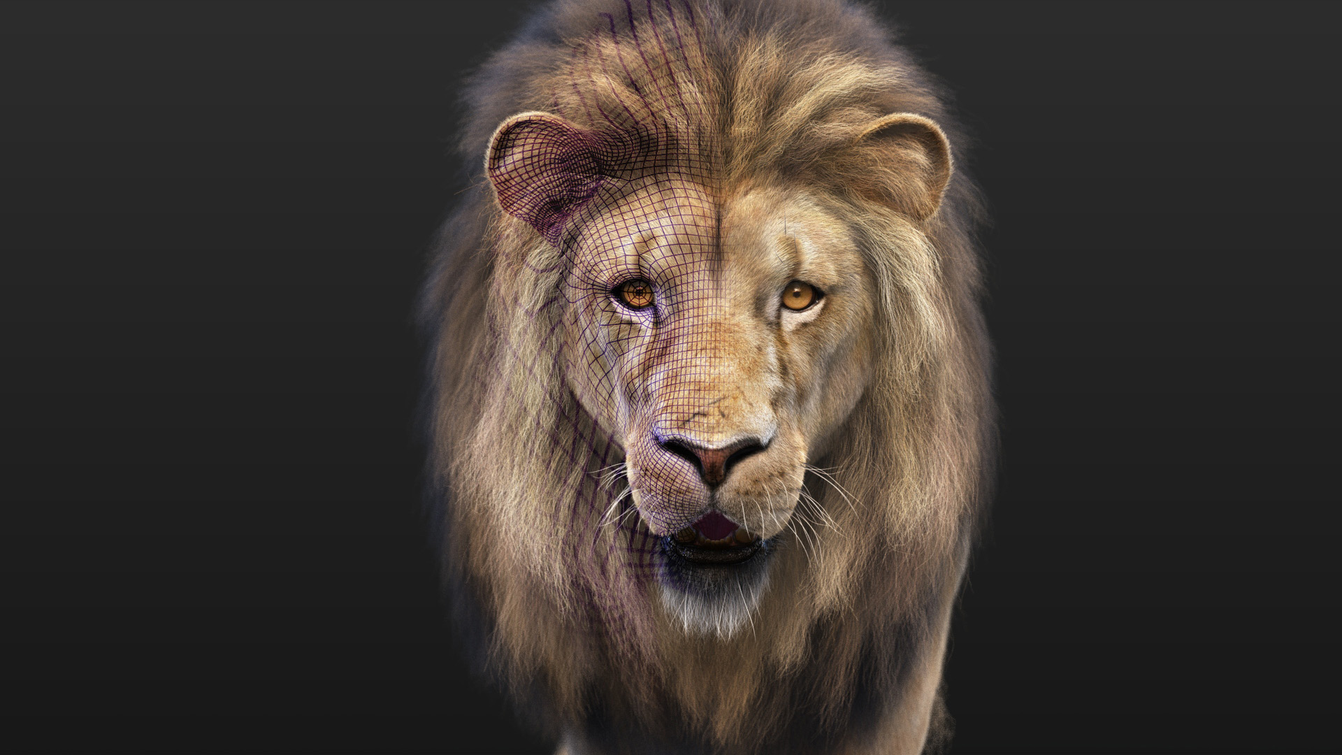 Lion binary