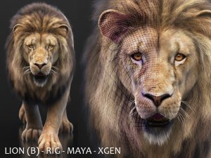 Buy 3D Models Online | Lions XGEN Online | Massimo Righi