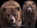 Bear RIG (xgen-core) Online | Massimo Righi 3D Models