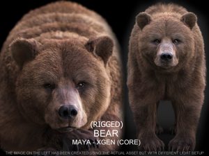Bear RIG (xgen-core) Online | Massimo Righi 3D Models