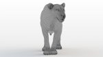 Buy 3D Models Online | Lions XGEN Online | Massimo Righi