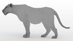 Buy 3D Models Online | Lions XGEN Online | Massimo Righi