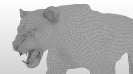 Buy 3D Models Online | Lions XGEN Online | Massimo Righi