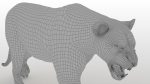 Buy 3D Models Online | Lions XGEN Online | Massimo Righi