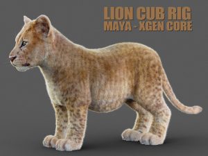 Lion Cub 3D Models | Animal 3d Models