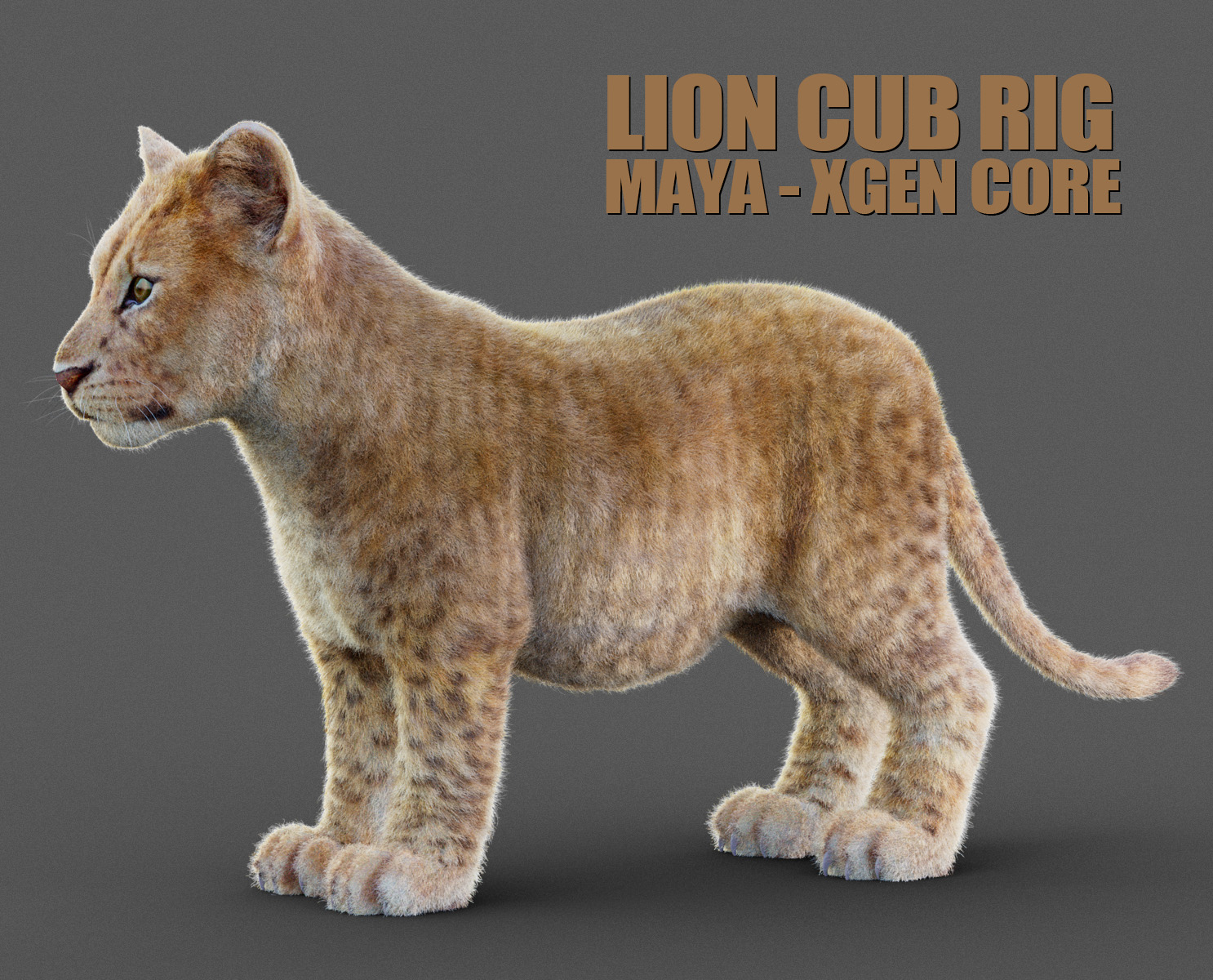 Lion Cub 3D Models | Animal 3d Models