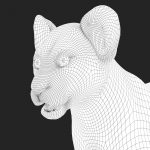 Lion & Lioness (XGEN-CORE) Online | 3D Models Online | Massimo Righi