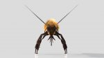 HONEYBEE (XGEN-CORE) (ANIMATED) Online | 3D Insects Model Online