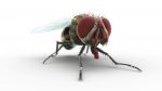 Buy HOUSEFLY (RIGGED) 3D Models Online | Massimo Righi