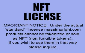 NFT License