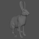 Hare Maya2022 (RIG) (XGEN-CORE) Online | 3D Models Online | Massimo Righi