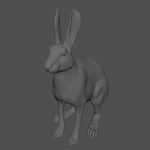Hare Maya2022 (RIG) (XGEN-CORE) Online | 3D Models Online | Massimo Righi