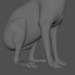Hare Maya2022 (RIG) (XGEN-CORE) Online | 3D Models Online | Massimo Righi
