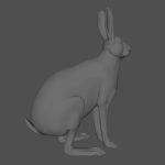 Hare Maya2022 (RIG) (XGEN-CORE) Online | 3D Models Online | Massimo Righi