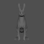 Hare Maya2022 (RIG) (XGEN-CORE) Online | 3D Models Online | Massimo Righi