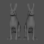 Hare Maya2022 (RIG) (XGEN-CORE) Online | 3D Models Online | Massimo Righi
