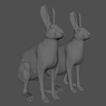 Hare Maya2022 (RIG) (XGEN-CORE) Online | 3D Models Online | Massimo Righi